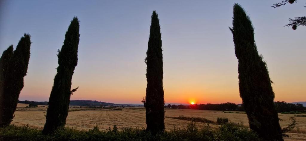 Casole dʼElsa Agriturismo Il Canneto מראה חיצוני תמונה