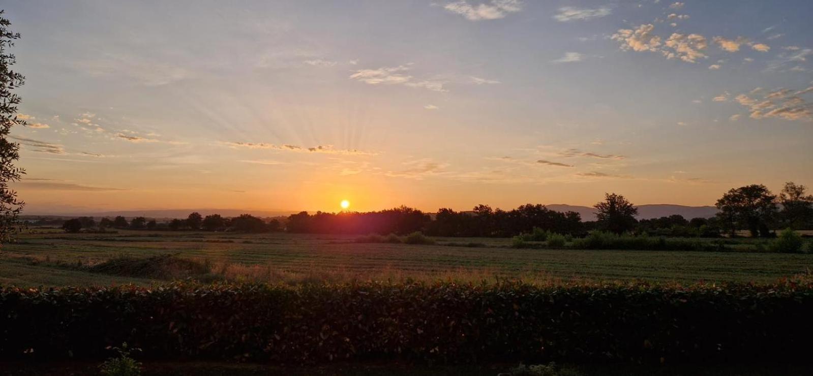 Casole dʼElsa Agriturismo Il Canneto מראה חיצוני תמונה
